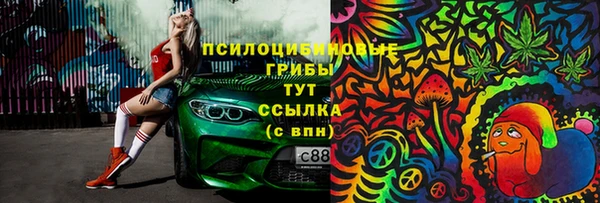 прущая мука Алзамай
