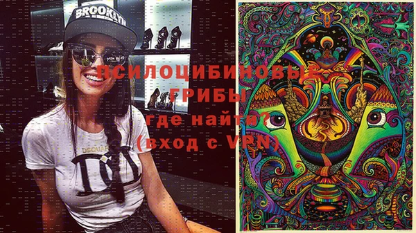 прущая мука Алзамай